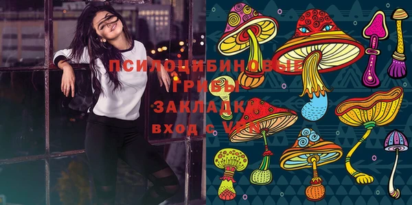 скорость Зерноград